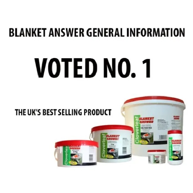 Cloverleaf Blanket Answer